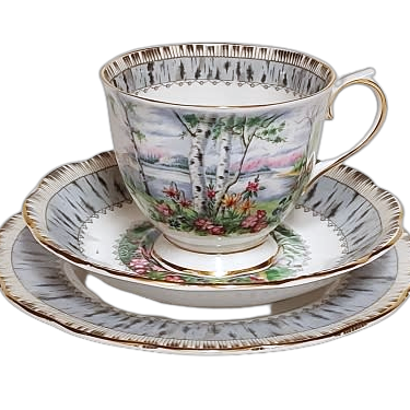 STUNNING ROYAL ALBERT SILVER BIRCH BONE CHINA TEA TRIO