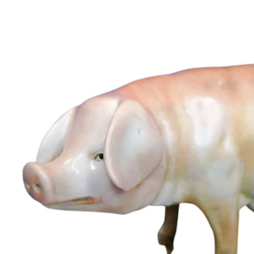 Meissen Porcelain Pig XX-Large