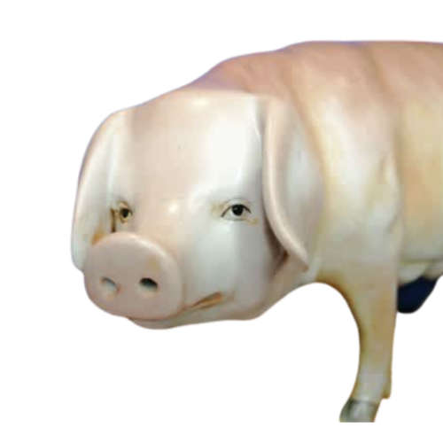 Meissen Porcelain Pig XX-Large