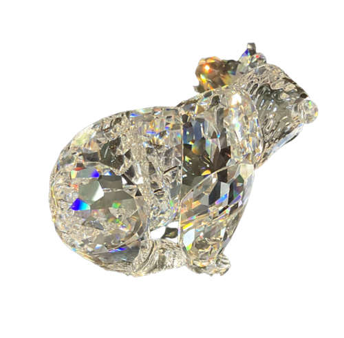 Swarovski Crystal Grizzly Bear - Rare Encounters