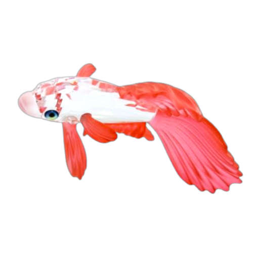 Swarovski Crystal Siamese Fighting Fish Red Boxed Retired