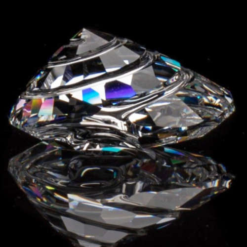 Swarovski SCS 2007 Top Shell Rare Retired