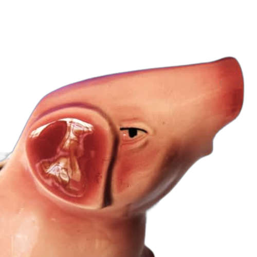Wood Potters of Burslem, Staffordshire, England,Pink hand-painted pig jug