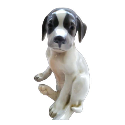 Royal Copenhagen Figurine 206 Pointer Puppy Dog