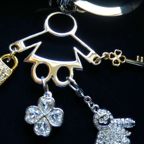 Swarovski Crystal Large Charm Keyholder Ltd