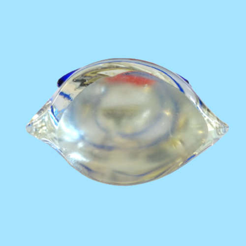 Art Glass Bag with Goldfish Ornament Paperweight
