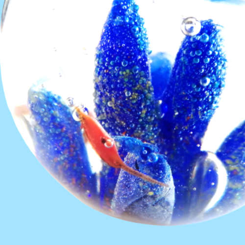 Large Glass Paperweight Clear with Blue Coral and Orange Fish