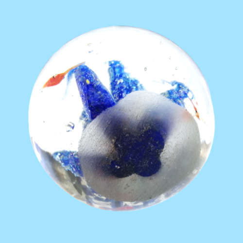 Large Glass Paperweight Clear with Blue Coral and Orange Fish