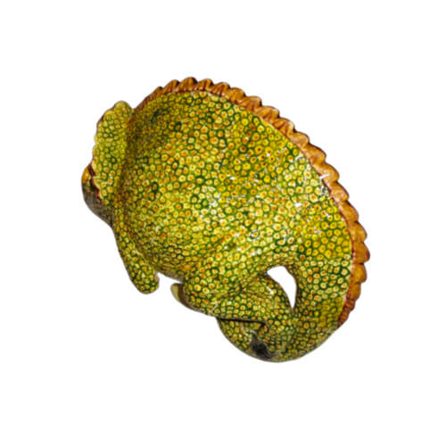 Ardmore Style Love - Art Chameleon Superb Detail