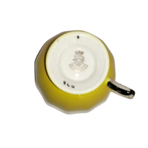 Royal Floral vintage Bright Yellow and Black Bone China Trio