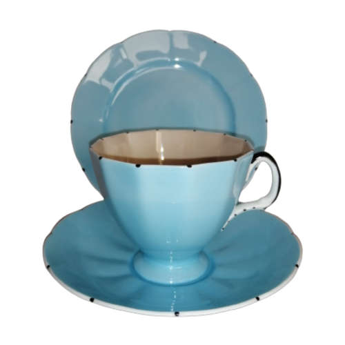 Royal Floral vintage Blue and Dusty Pink Bone China Trio