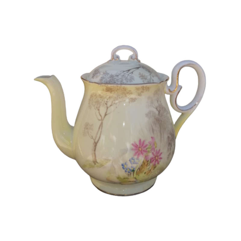 Shelley Fine Bone China Tea Pot Hand Painted Tree And Flower Decoration