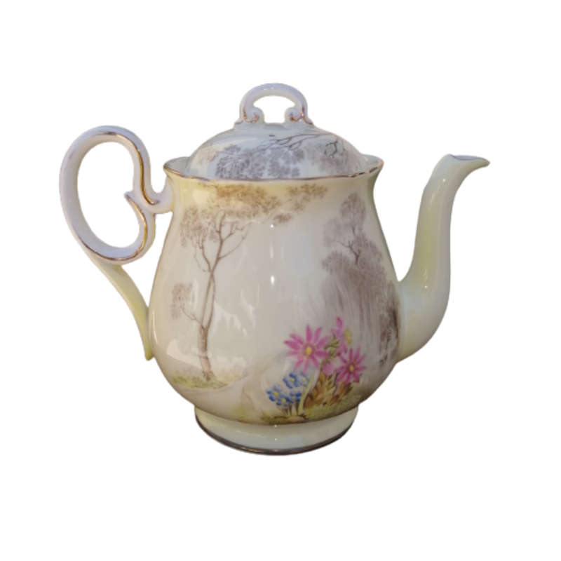 Shelley Fine Bone China Tea Pot Hand Painted Tree And Flower Decoration
