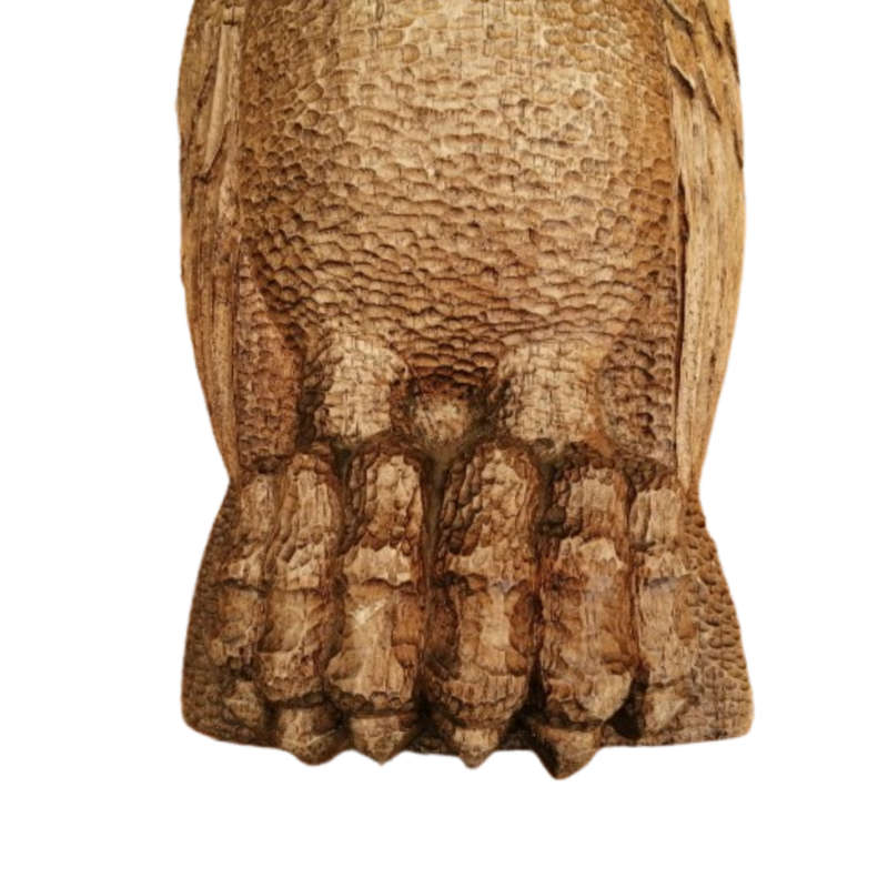 20th Century Large Carved Wooden Owl, possibly Black Forest