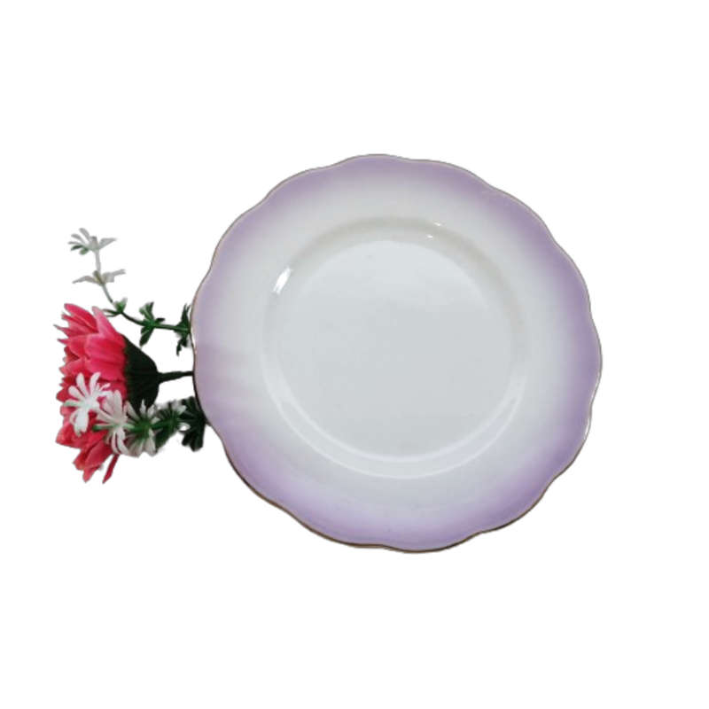Royal Albert ` Rainbow ` Purple Hampton shape Plate Fine Bone China England
