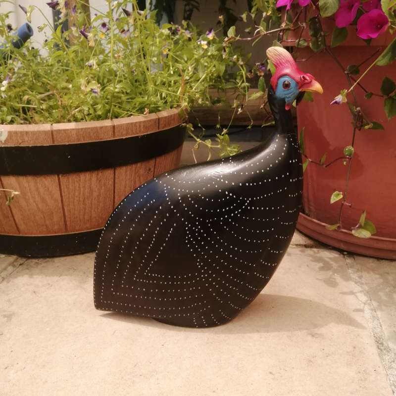 Feathers of Knysna Gallery carved and hand painted Male Guinea Fowl Fossils