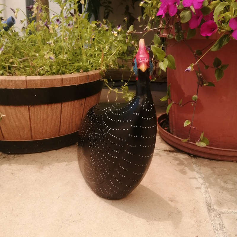 Feathers of Knysna Gallery carved and hand painted Male Guinea Fowl Fossils