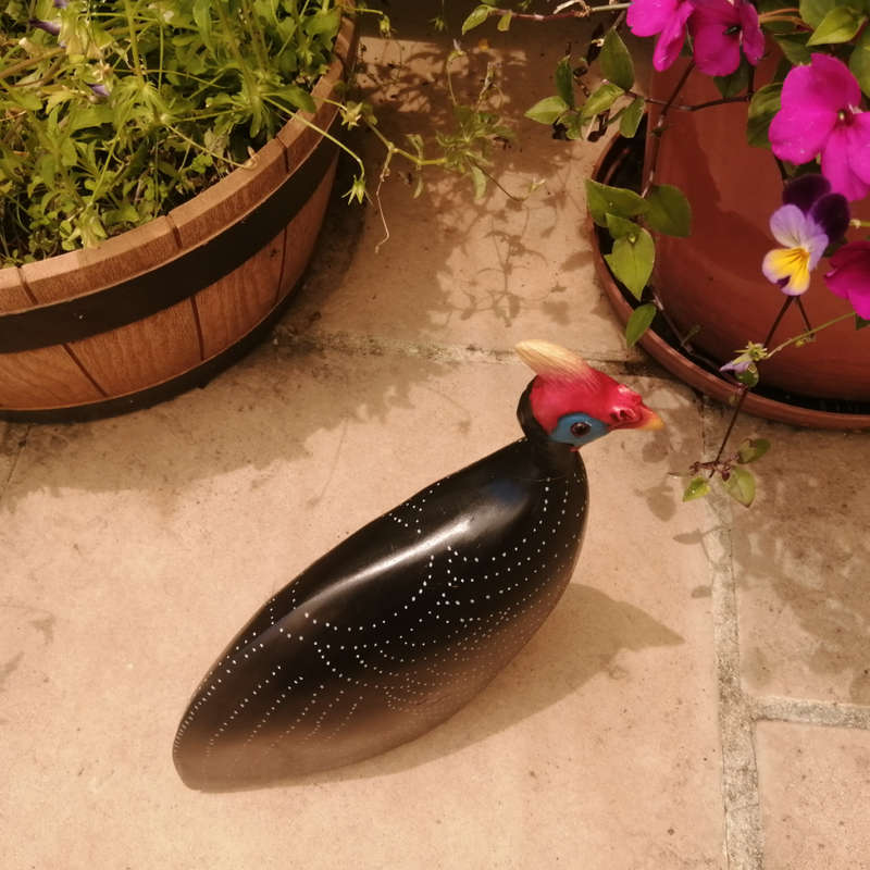 Feathers of Knysna Gallery carved and hand painted Male Guinea Fowl Fossils