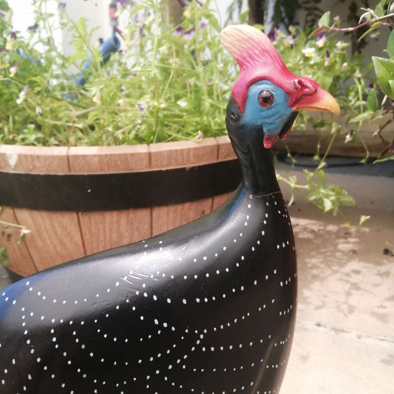 Feathers of Knysna Gallery carved and hand painted Male Guinea Fowl Fossils