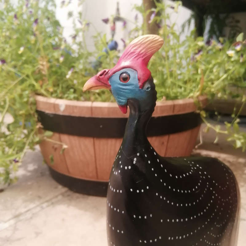 Feathers of Knysna Gallery carved and hand painted Male Guinea Fowl Fossils