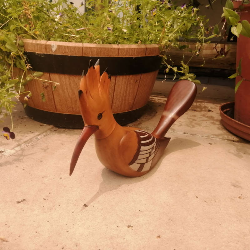 Feathers of Knysna Gallery carved and hand painted African Hoopoe 915/975