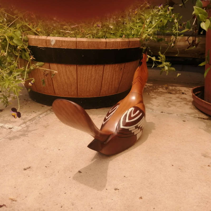 Feathers of Knysna Gallery carved and hand painted African Hoopoe 915/975