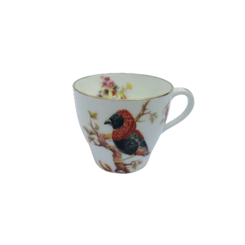 Antique Royal Doulton Coffee Set 15 pc Exotic Birds H1422