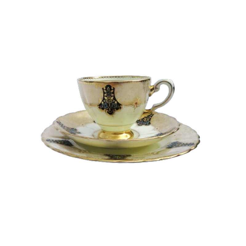 Plant Tuscan Trio Art Deco Black with Gold Accents