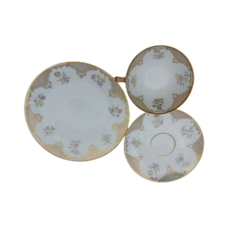 Hutschenreuther Trio Bavaria Flower design with Gold Accents