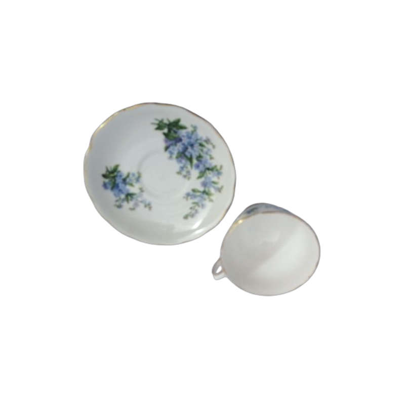 Royal Vale Blue Flower Duo
