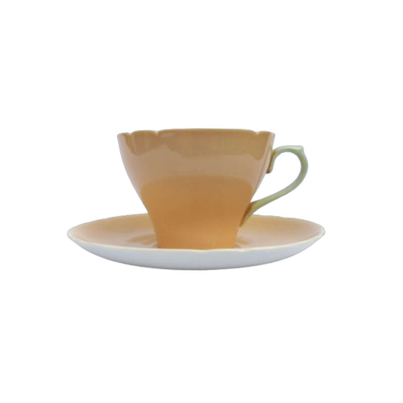 Shelley Fine Bone China Duo Peach with Green Trim