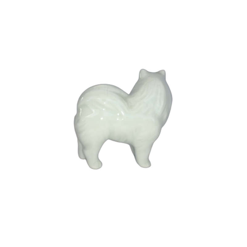 White Standing Samoyed Pomeranian Dog