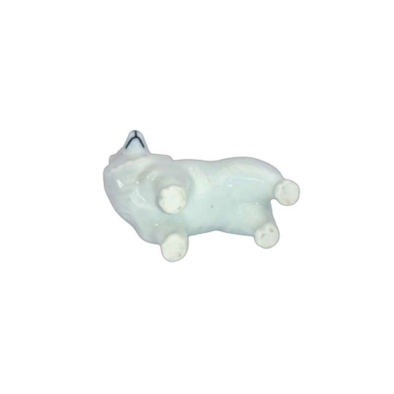 White Standing Samoyed Pomeranian Dog