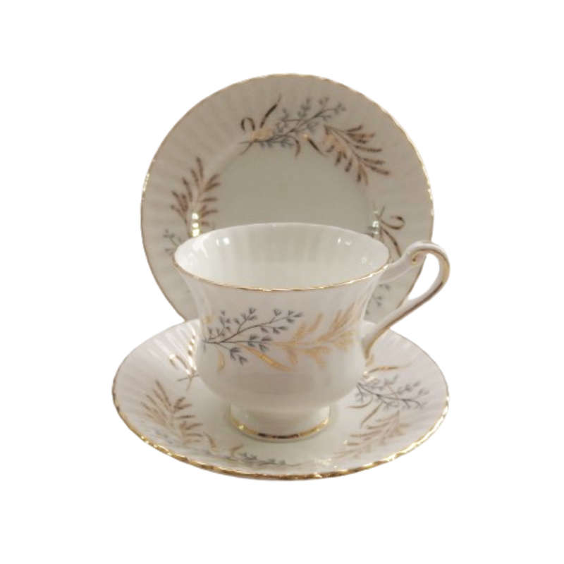 Paragon West Wind fine bone china Trio