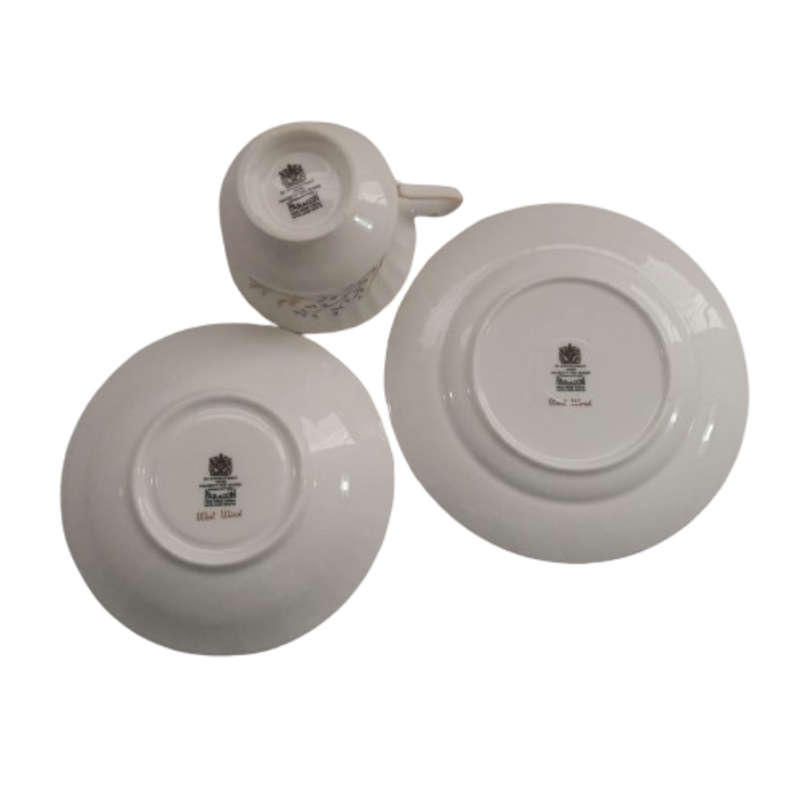 Paragon West Wind fine bone china Trio