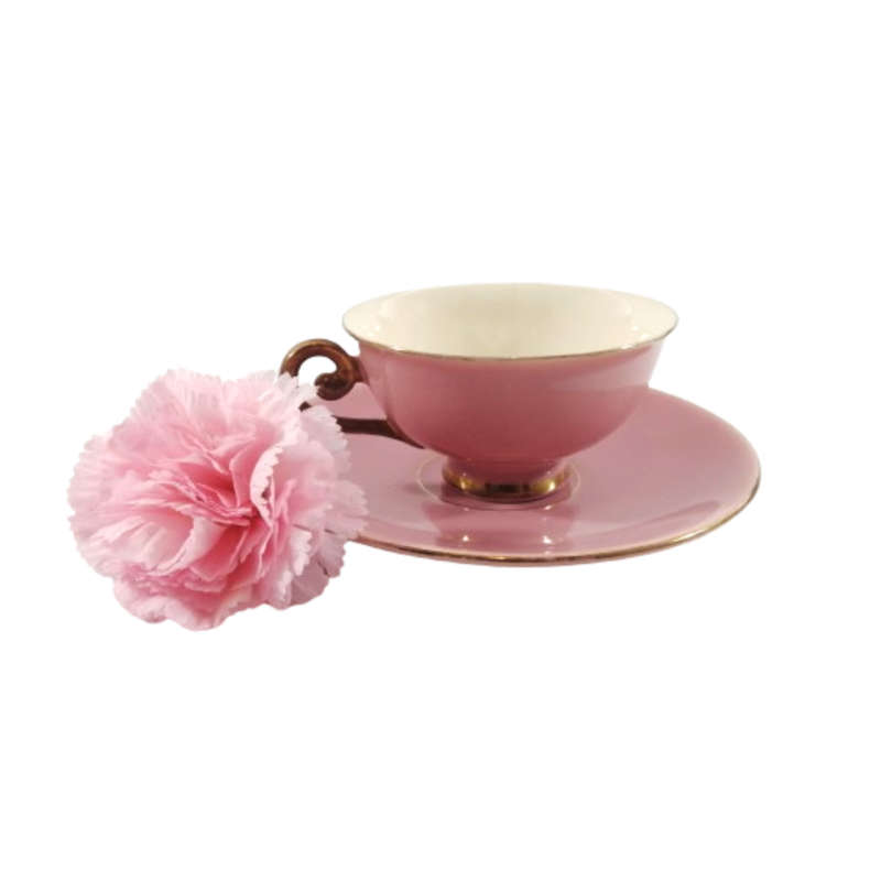 Flora Gouda Holland Large Pink Duo