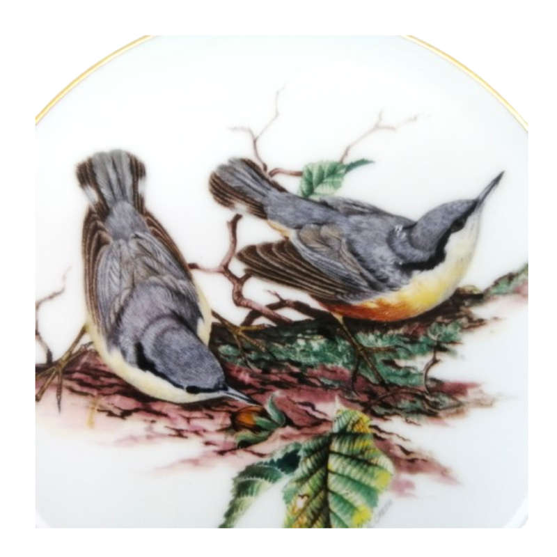 Coalport Birds of Britain Plate