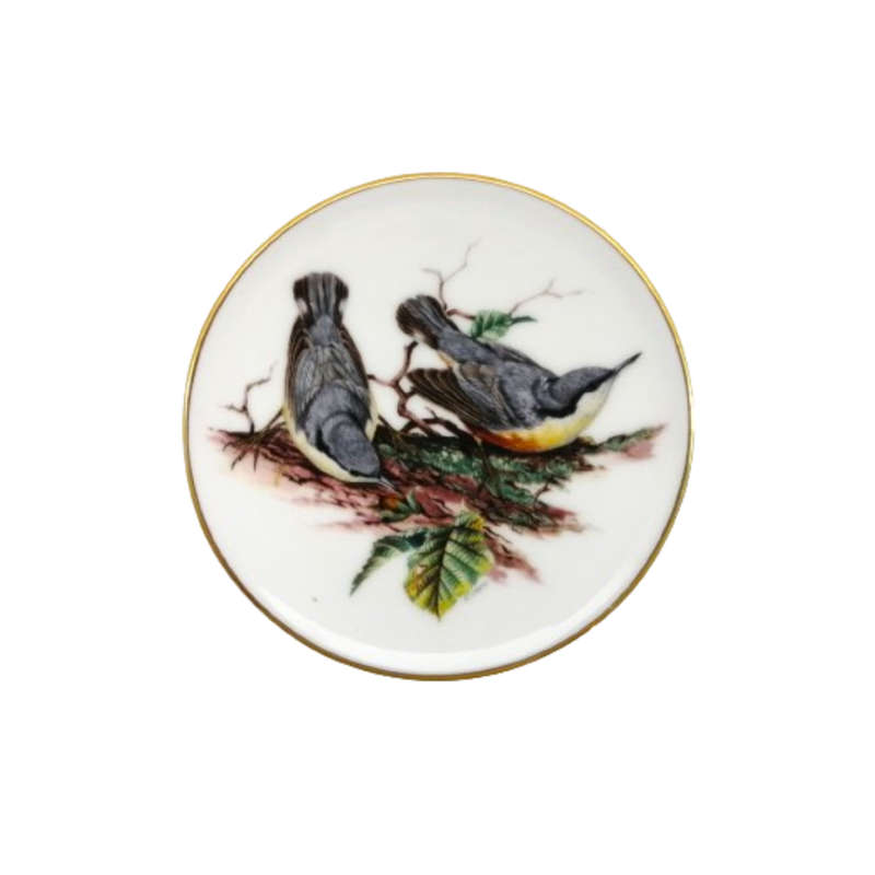 Coalport Birds of Britain Plate