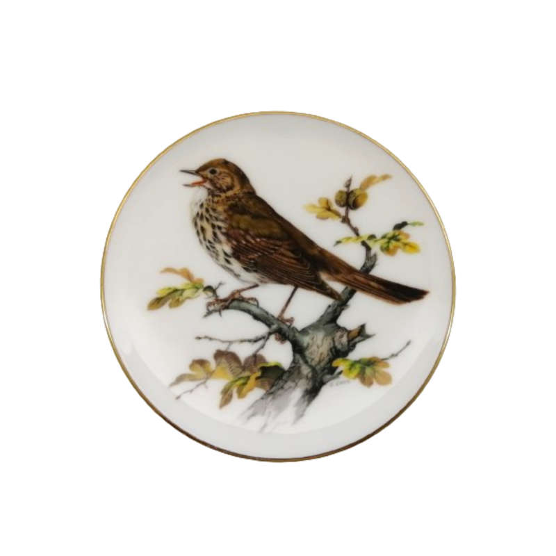 Coalport Birds of Britain Plate