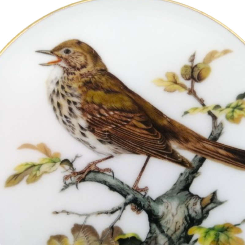 Coalport Birds of Britain Plate