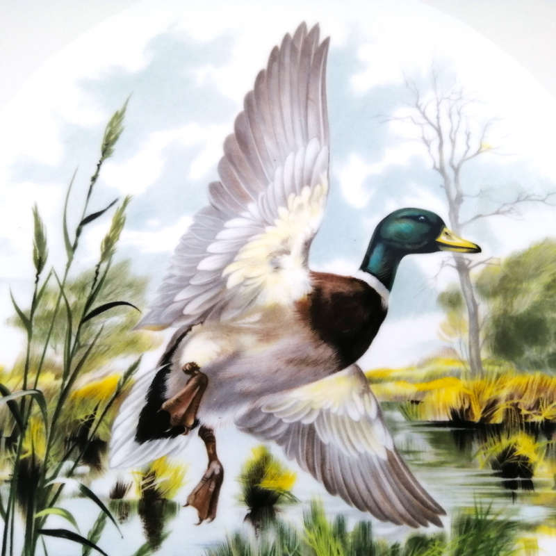 Royal Chelsea Birds of the Countryside - The Mallard Duck