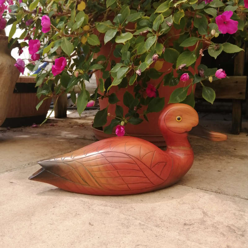 Birds of Africa carved and hand painted Pintail Duck