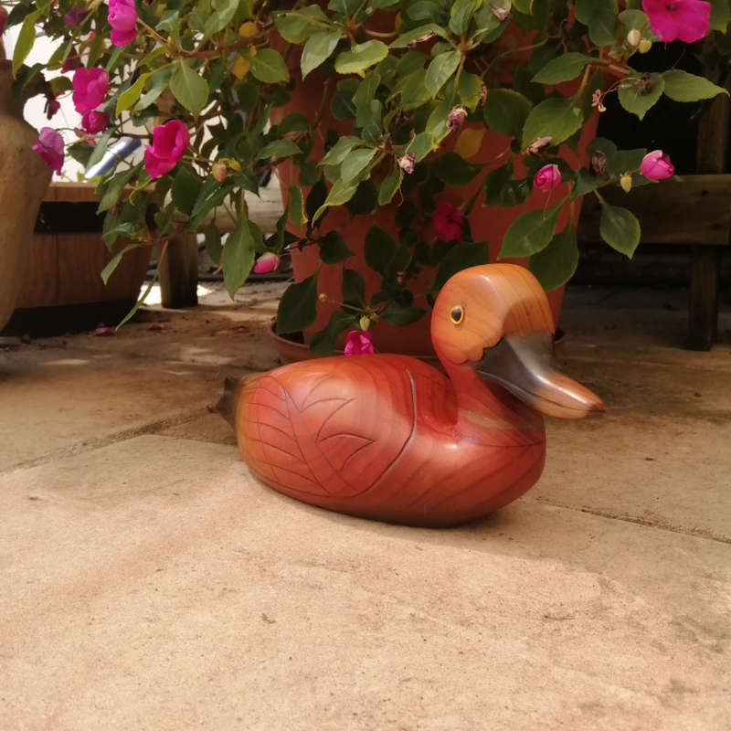 Birds of Africa carved and hand painted Pintail Duck