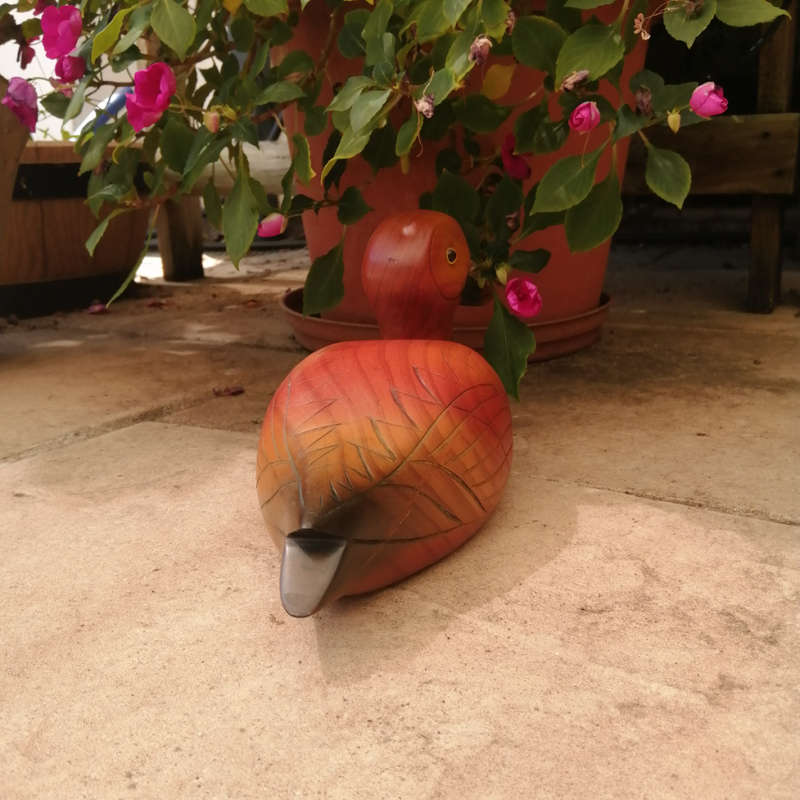Birds of Africa carved and hand painted Pintail Duck