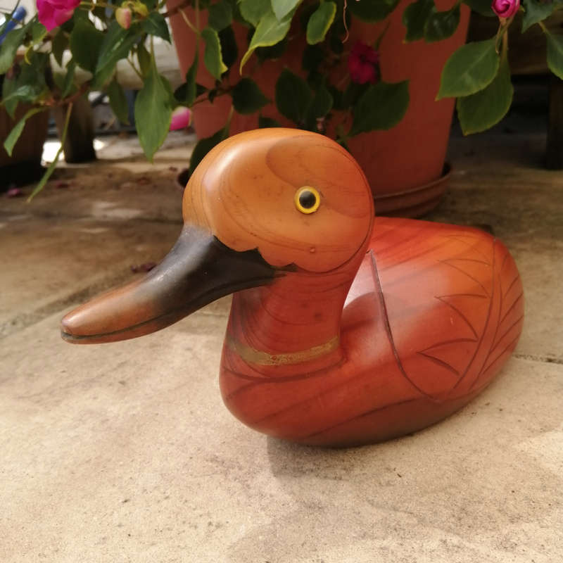 Birds of Africa carved and hand painted Pintail Duck