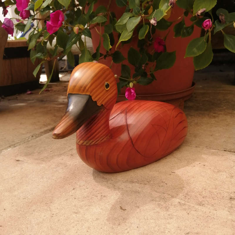 Birds of Africa carved and hand painted Pintail Duck