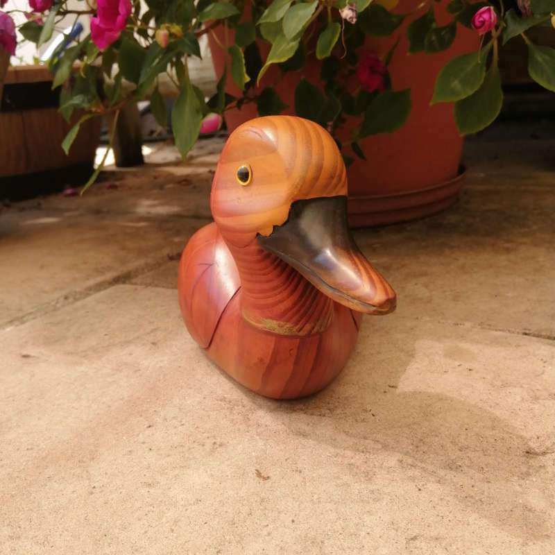 Birds of Africa carved and hand painted Pintail Duck