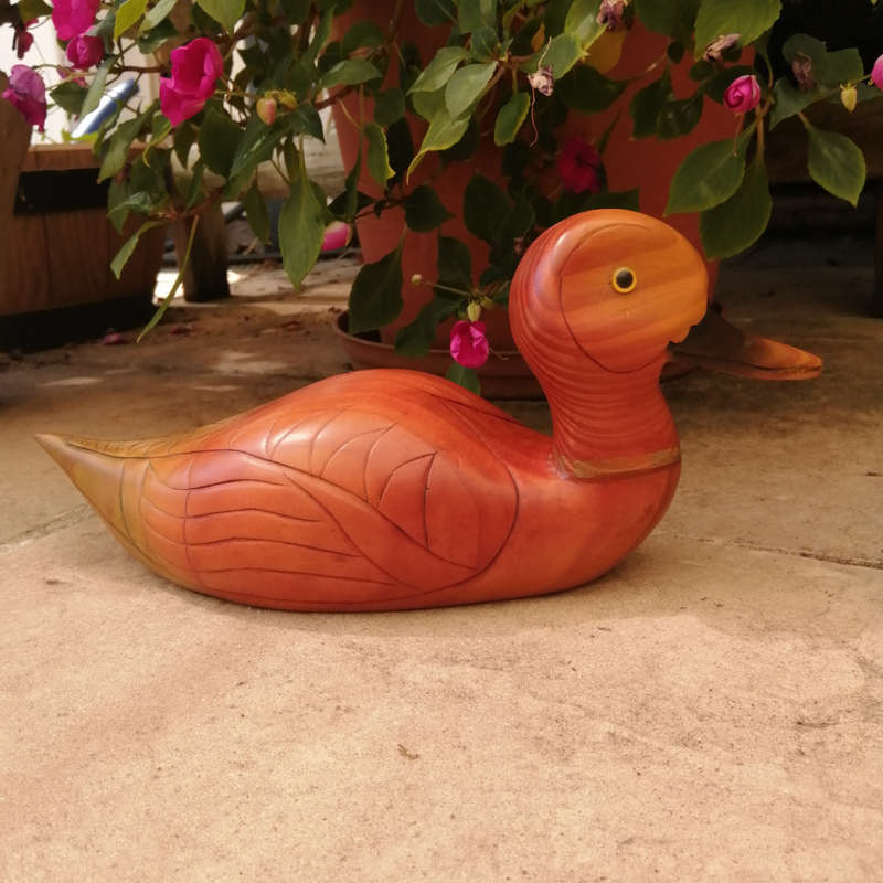 Birds of Africa carved and hand painted Pintail Duck
