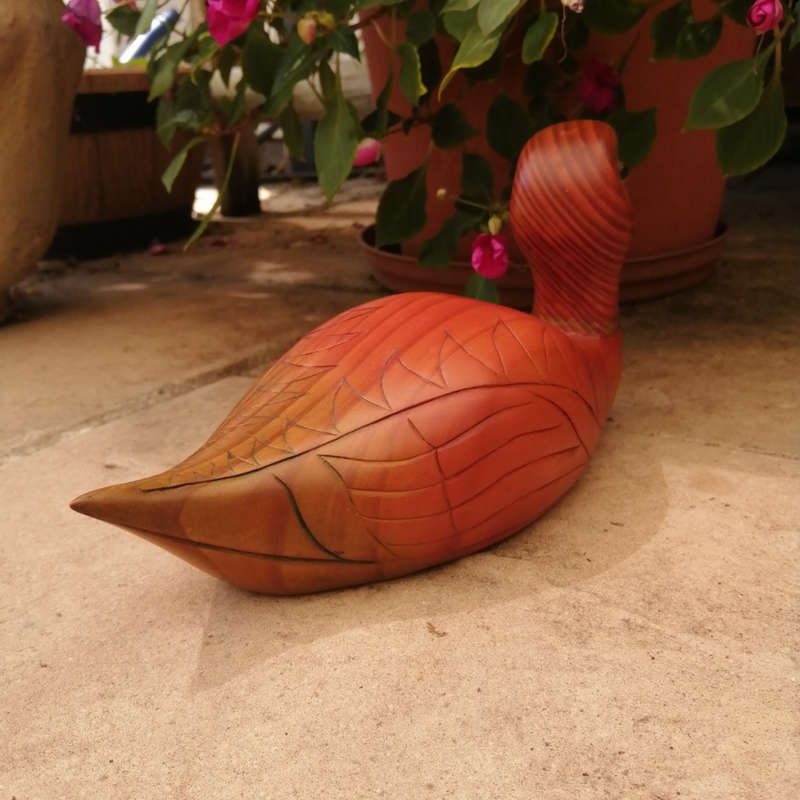 Birds of Africa carved and hand painted Pintail Duck