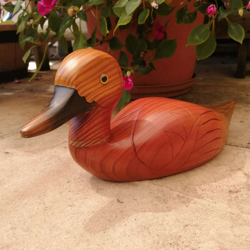 Birds of Africa carved and hand painted Pintail Duck